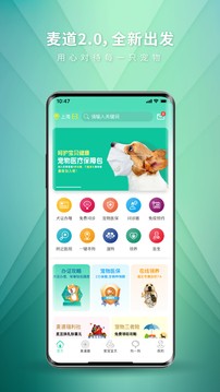 app؈D