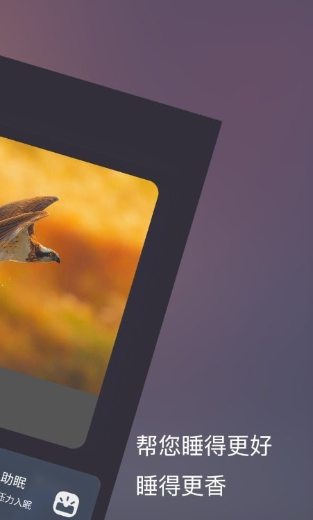 ˯App؈D