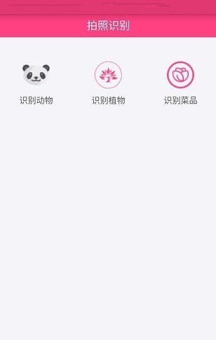 Rܛapp؈D