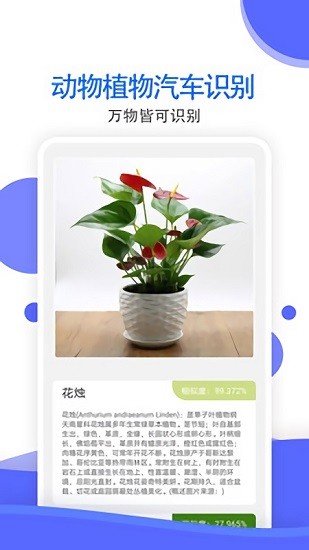 Reȫapp؈D