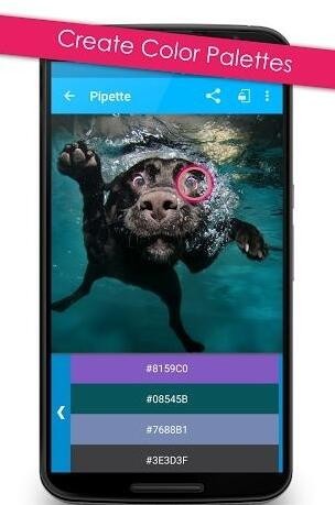 ʰɫPipetteapp؈D