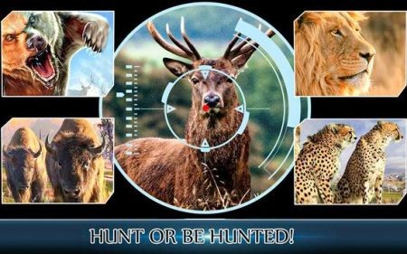 CģM İ棨The Hunter Simulator؈D