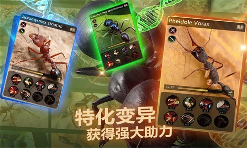 ССρ °İ棨The Ants؈D