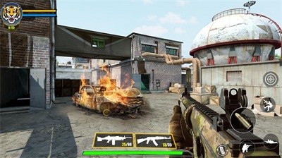 ؾɫЄӣSwat Gun Game Black Ops؈D