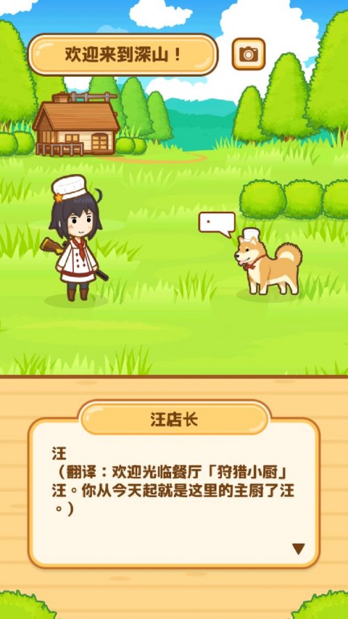 CСNHunt Cook؈D