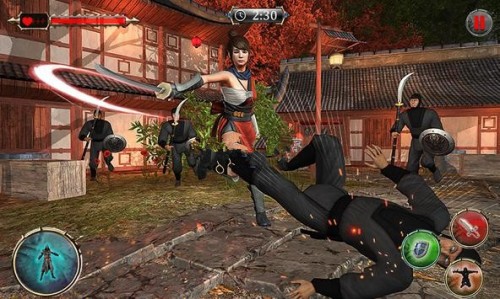 (j)ӢFSuperhero Ninja Iron Blade؈D