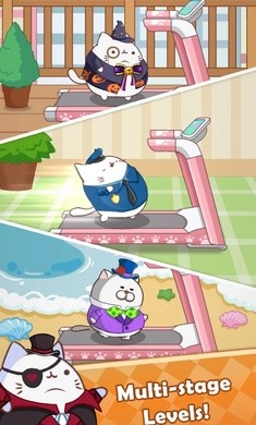 ؈ܣCat Run - Kitty Rush؈D