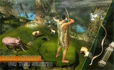 21(21 days survival)؈D