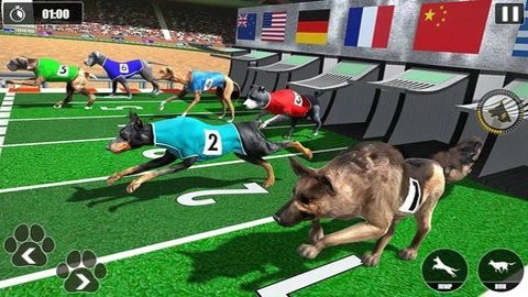 ِ\ِ İ棨Dog Racing Championship؈D