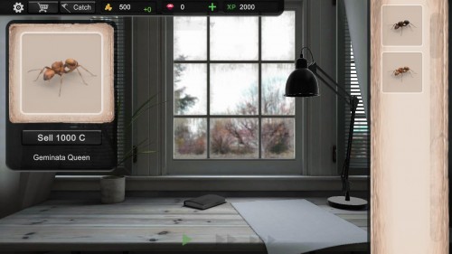 ΛρģM 2023°棨Ant Sim Tycoon؈D