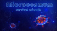 ΢MΑdMicrocosmum؈D
