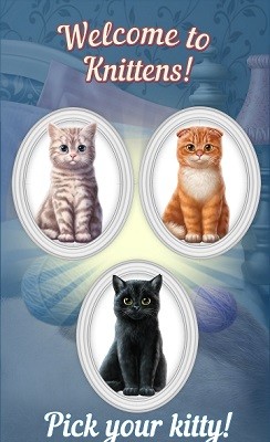 ɐ۵С؈ M棨Knittens؈D