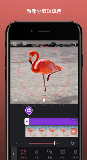 Enlight Videoleap׿dapp؈D