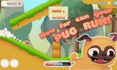 ͿܣPug Run؈D