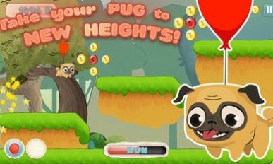 Pug Run؈D
