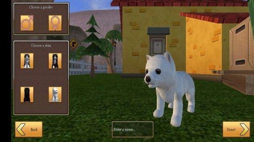 Dog Simulator - Animal Lifeapp؈D