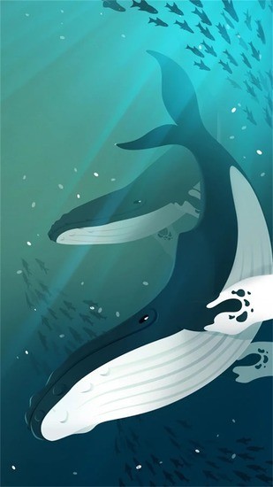 ˮ^ ُΑAPP؈D