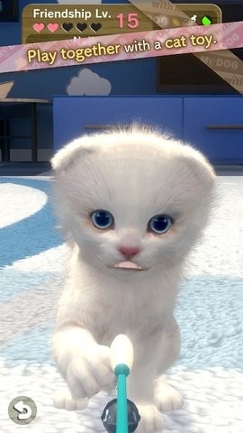 withMyCATΑAPPd؈D