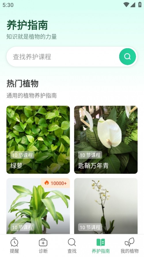 Plant Parent ֲBoappܛd؈D