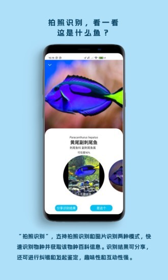 ~app׿°؈D