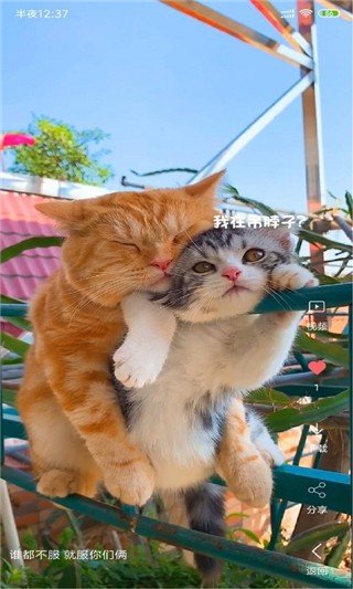 ҕlڼapp؈D
