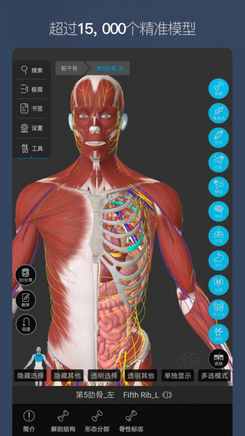 S_3Dapp؈D