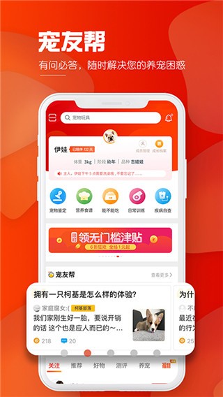 Ȯapp؈D